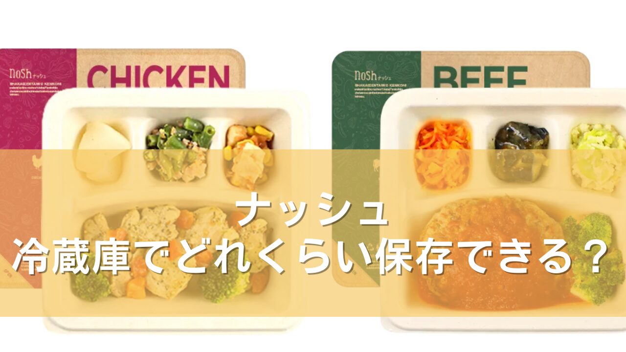 ナッシュは冷蔵庫でどれくらい保存できる?冷凍庫での賞味期限なども紹介!